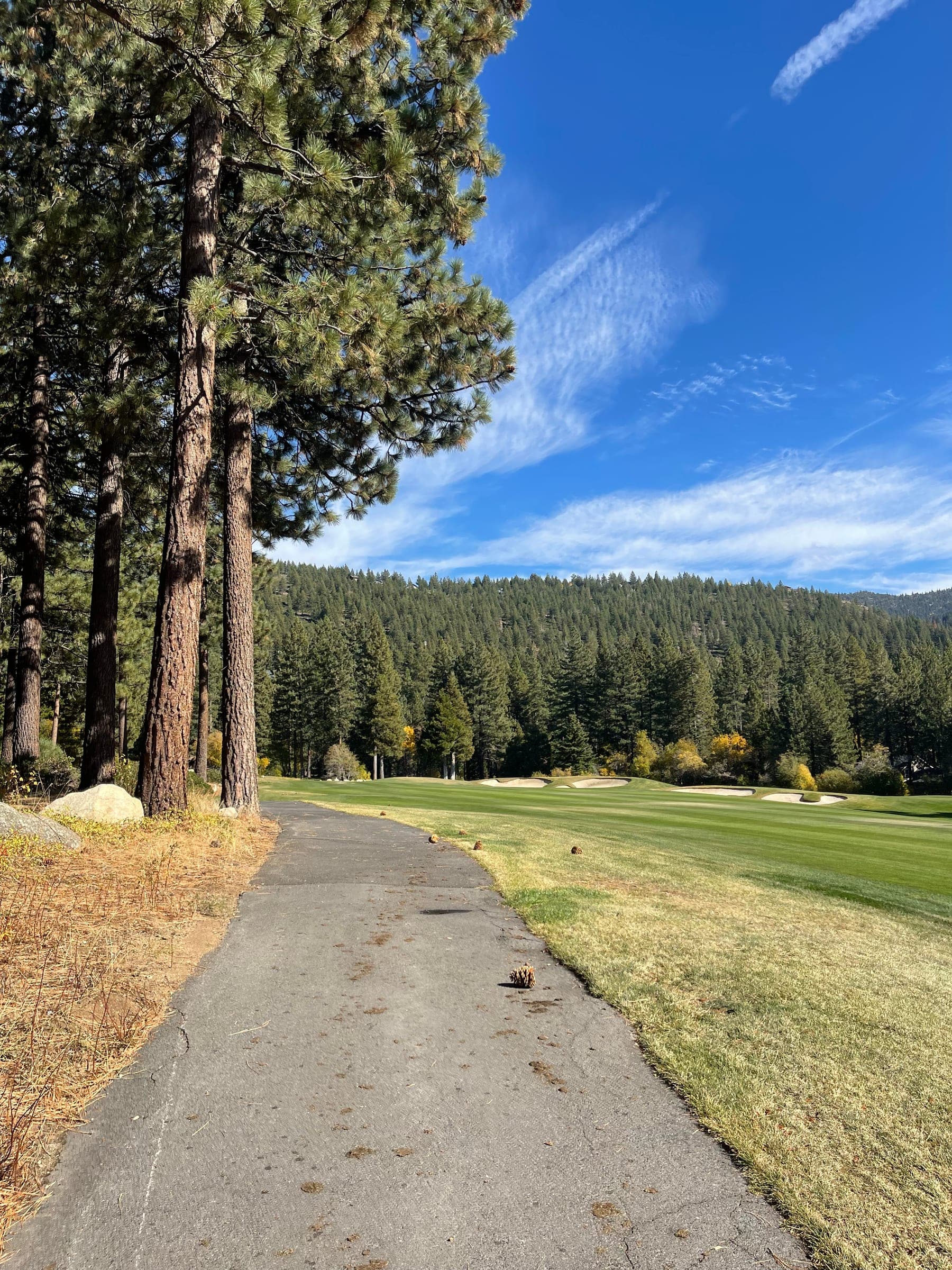 A golf course in Incline Village, Lake Tahoe, framed by pines