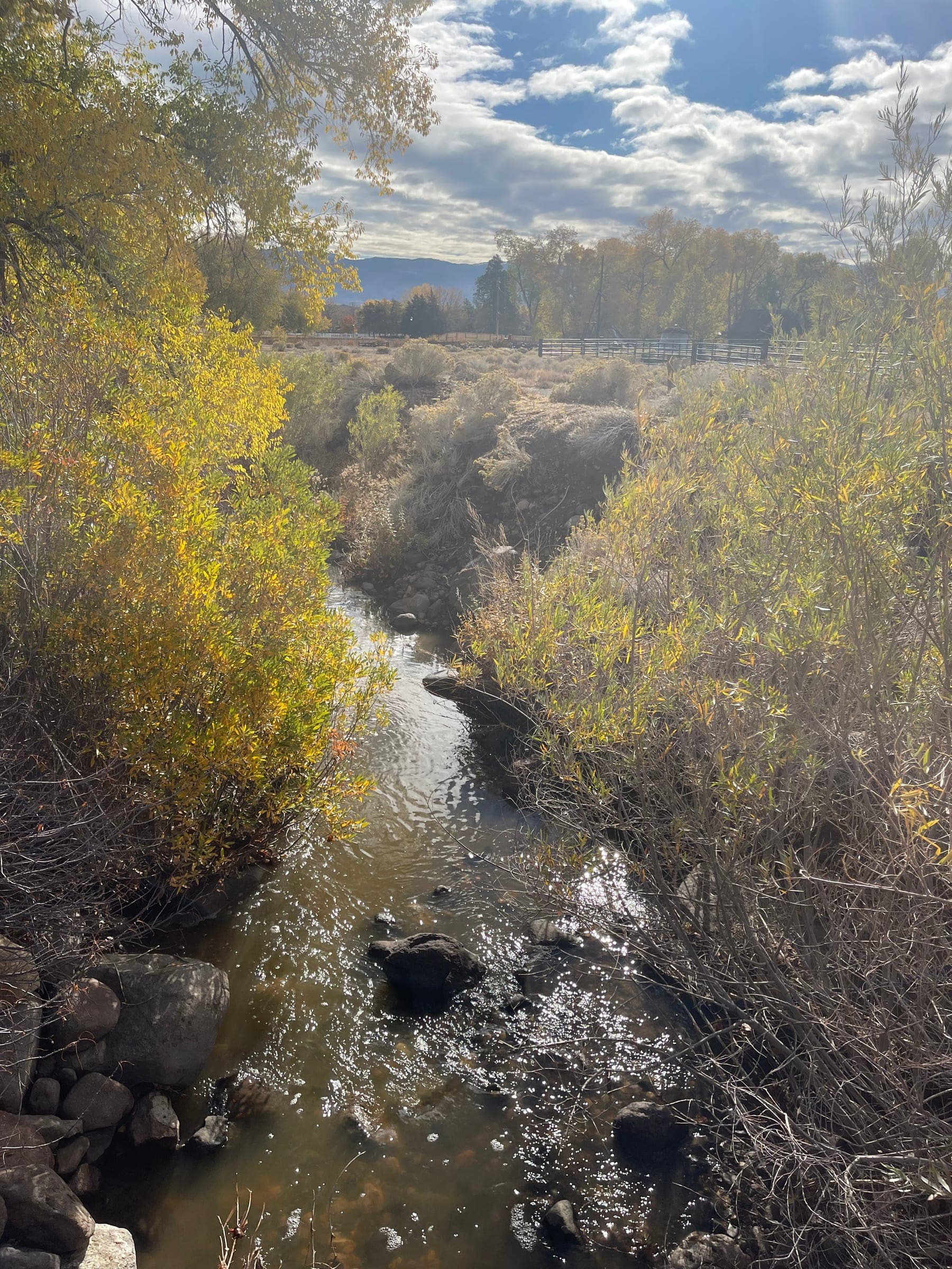 A creek running through Bartley Ranch Regional Park in the fall