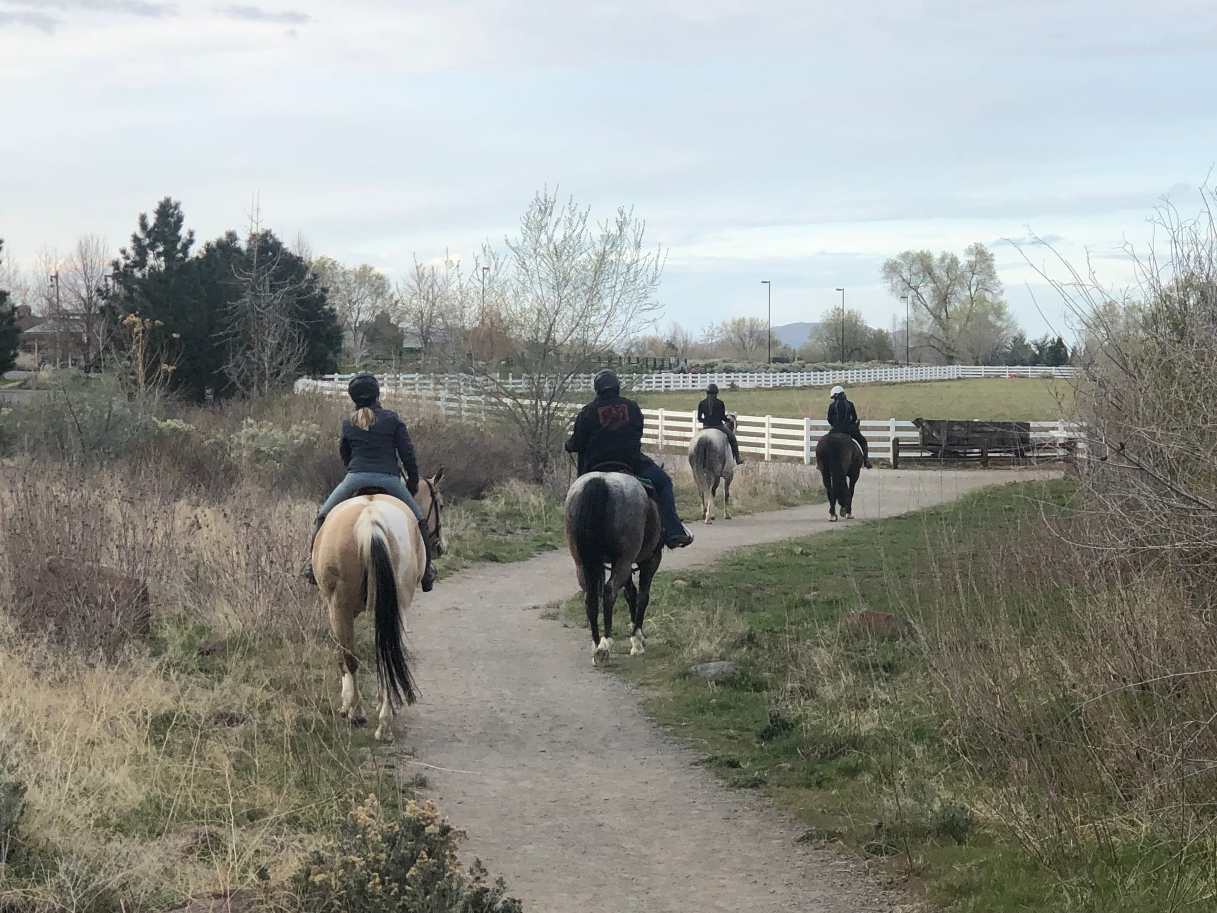 Riders on horseback on a trail at Bartley Ranch Regional Park