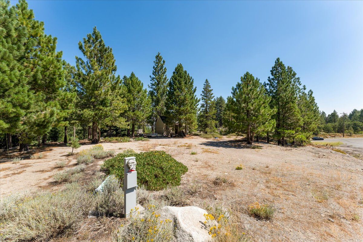 Mostly flat buildable land at 1025 Sky Tavern Road, Reno NV